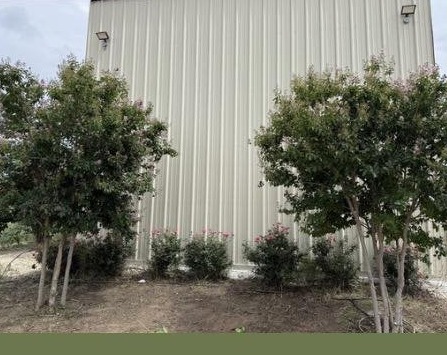 Clean trimmed landscaping after Citation Land Improvement Co. service