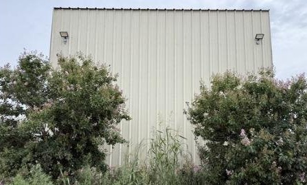 Weeds and tall grass before maintenance